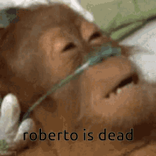 Roberto Is Pooped On GIF