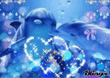 Dolphin Fantasy GIF - Dolphin Fantasy Glitter GIFs