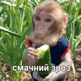 Funny Monkey игорь буток GIF - Funny Monkey игорь буток коля киевский GIFs