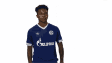 S04 Schalke GIF - S04 Schalke Bundesliga GIFs