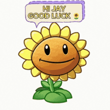 a sunflower with a speech bubble saying hi jay good luck