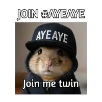 a picture of a hamster wearing a black hat that says aye aye