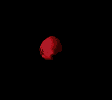 a close up of a red rose with a black background