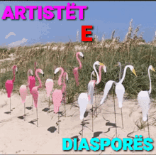 Artist Diaspora GIF - Artist Diaspora GIFs