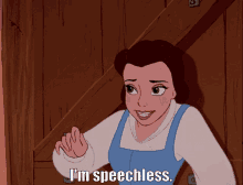 Beauty And The Beast Im Speechless GIF - Beauty And The Beast Im Speechless Belle GIFs