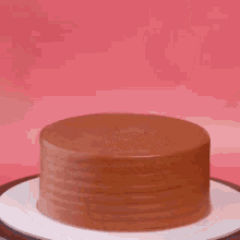 a chocolate cake on a white plate with a pink background