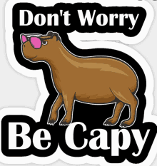 Dont Worry Be Capy GIF - Dont Worry Be Capy GIFs