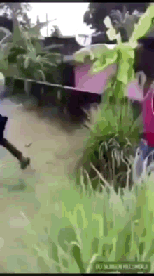 a blurry picture of a person walking through a grassy field