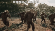 a group of chimpanzees are dancing in the dirt with a caption in a foreign language
