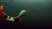 a colorful worm is swimming in the water with x-rap otus written on the bottom of the screen