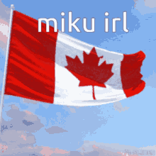Miku Canadian GIF - Miku Canadian GIFs