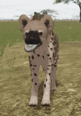 a hyena is standing on a dirt road with its tongue out