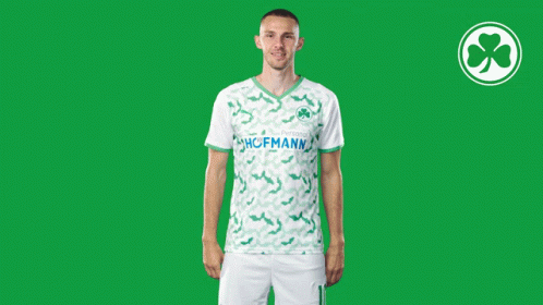 Spvgggreutherfürth Fuerth GIF - Spvgggreutherfürth Greutherfürth Fuerth GIFs