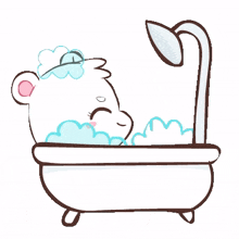 bear white cute lovely wash