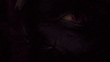 a close up of a monster 's eye with a purple background