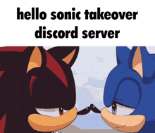 Hello Sonic Takeover Discord Server Sonadow GIF - Hello Sonic Takeover Discord Server Sonadow GIFs