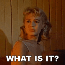 What Is It Francie Lawrence GIF - What Is It Francie Lawrence Gidget GIFs