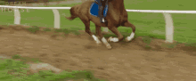 Horse Gallop Dream Horse GIF - Horse Gallop Dream Horse Horse Running GIFs