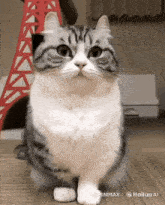 a cat is sitting on the floor and looking at the camera with a red eiffel tower in the background .
