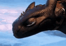 No How To Train Your Dragon GIF