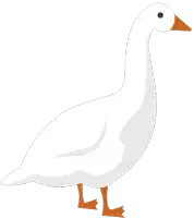 a white goose with orange feet and a black spot on its head