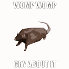 a picture of a mouse with the words womp womp cry about it