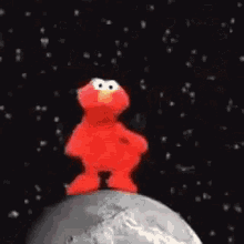Space Elmo Hi GIF - Space Elmo Hi I Like Turtles GIFs