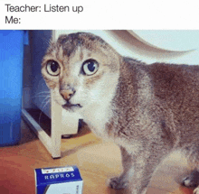 Teacher Says Listen Up GIF - Teacher Says Listen Up GIFs