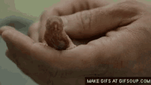 Naked Mole Rat Hand GIF