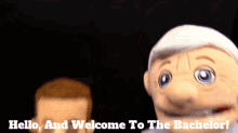 Sml Steve Staleburger GIF - Sml Steve Staleburger Hello And Welcome To The Bachelor GIFs