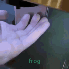 Xcd859 Frog GIF