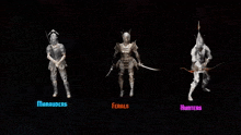three warriors with the names marauders ferals and hunters on a black background