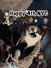 a cat wearing a yankees hat is laying in a bed
