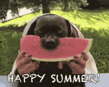Happy Summer GIF - Happy Summer GIFs
