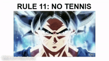 tennis rule
