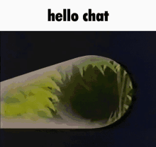 Hello Beatles GIF - Hello Beatles Chat GIFs