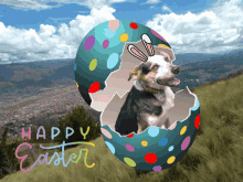 Agustin Dog GIF - Agustin Dog Easter GIFs
