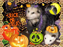 Halloween Opossum GIF - Halloween Opossum Picmix GIFs