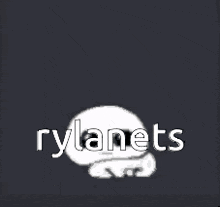 Rylanets Showtime Smp GIF - Rylanets Showtime Smp GIFs