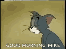 good morning mike tom