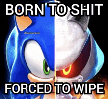 a poster of sonic the hedgehog with the words born to shit forced to wipe