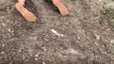 a person wearing a pair of adidas shoes is standing on a dirt path