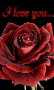 Love Red GIF - Love Red Rose GIFs