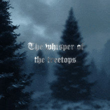 a picture of a forest with the words the whisper of the treetops on it