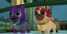 two pug dogs are standing next to each other in a city .