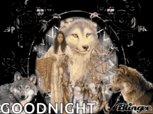 Goodnight Glitter GIF - Goodnight Glitter Wolf Lady GIFs