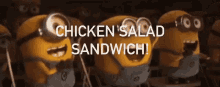 Chicken Salad Chicken Salad Sandwhich GIF