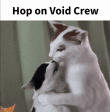 Hop On Void Crew GIF