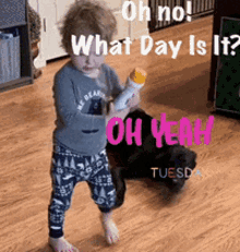 Tuesday Confused GIF - Tuesday Confused Goingincircles GIFs