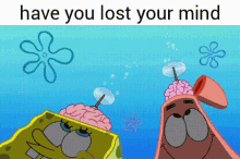 Have You Lost Your Mind GIF - Have You Lost Your Mind GIFs